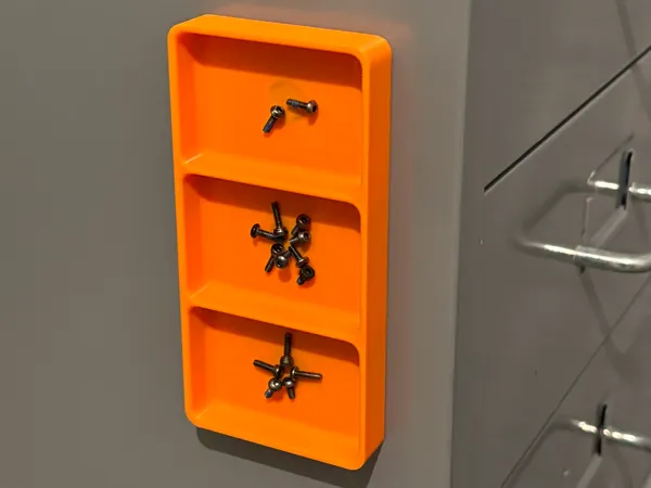 https://makerworld.bblmw.com/makerworld/model/USaeda85df27df86/design/2024-12-22_640fdec4ea612.jpg