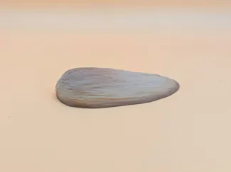 Lizard Rock