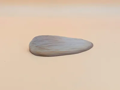 Lizard Rock