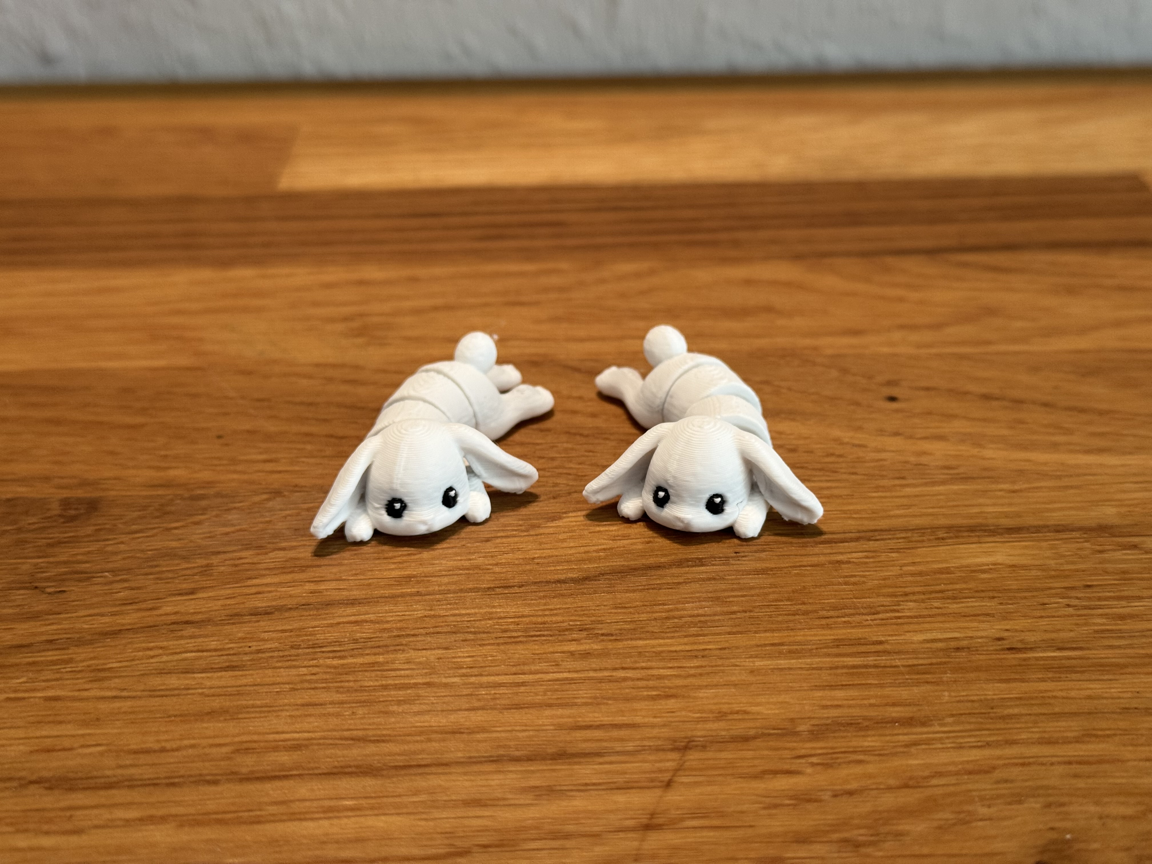 Miniatura 2 do modelo 3D Flexi Hase