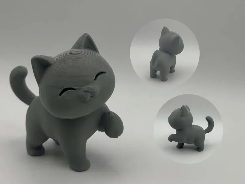 Happy Paw Cat