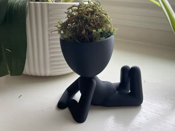 https://makerworld.bblmw.com/makerworld/model/USaeea85829c31b0/design/2025-03-28_0321321b6b2be.jpg