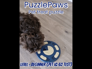 PuzzlePaws - Beginner - Pet treat puzzle