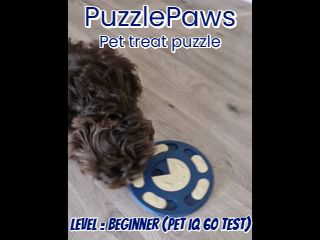 PuzzlePaws - Beginner - Pet treat puzzle