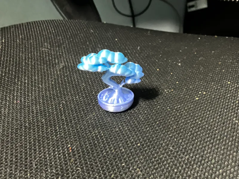 Bonsai tree 