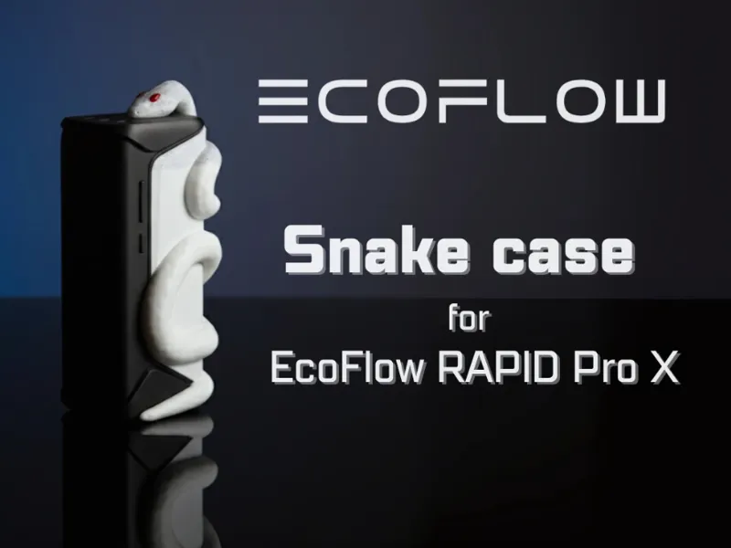 Ecoflow Snake case