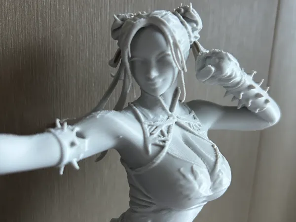 https://makerworld.bblmw.com/makerworld/model/USaef171d92e824e/design/c9225c49eae9bc85.jpg