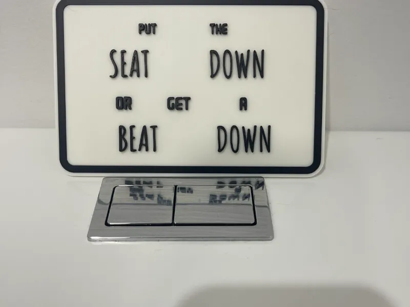 toilet seat. Put the seat down or get a beat down.