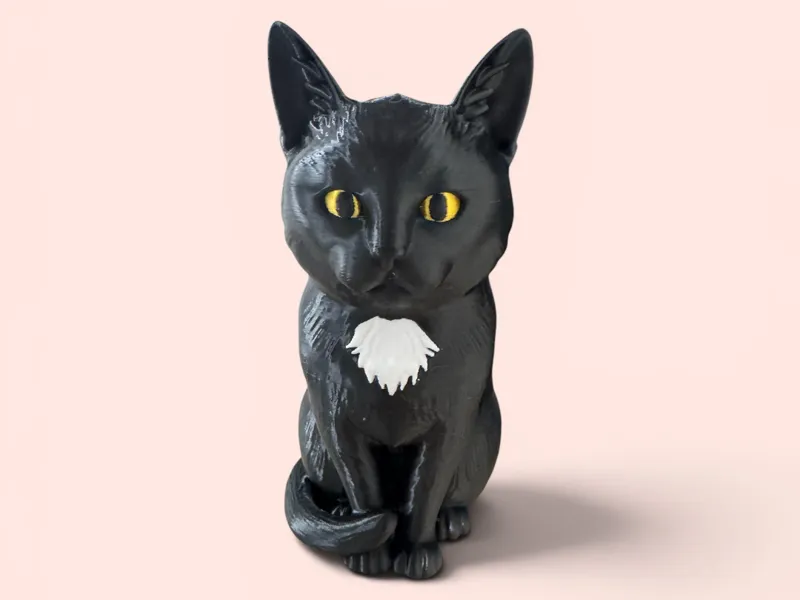 Katze schwarz