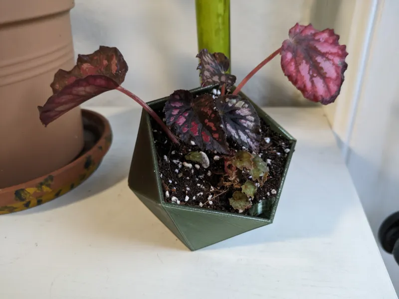 Hexagon Vase 