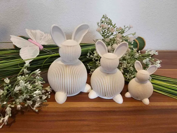 https://makerworld.bblmw.com/makerworld/model/USaef6b567c1d41f/design/2024-03-10_b07840d6b0154.jpg