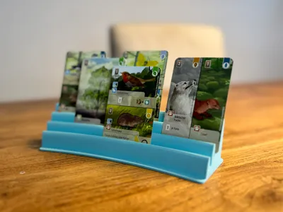 Curved Card Holder – 3 rows