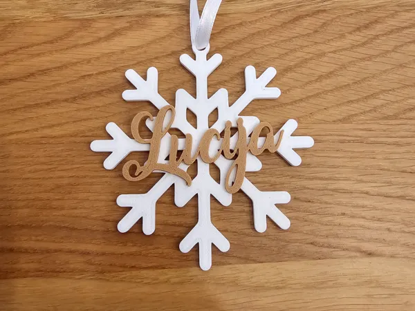 https://makerworld.bblmw.com/makerworld/model/USaef83db479a94e/design/2024-12-02_6d2f9325ef3bd.jpg