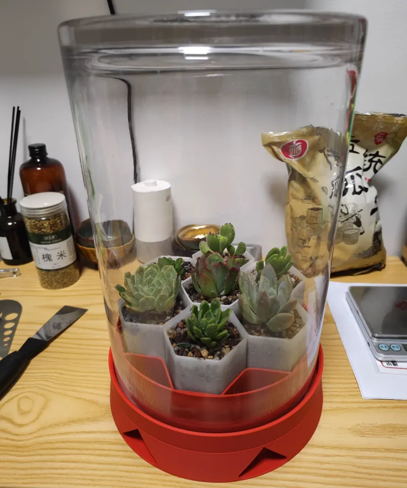 Succulent pots-多肉花盆（保护罩）