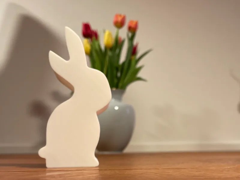 Oster Hase