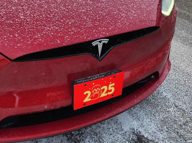 Vanity Plates: 2025 Year of Snake License Plate