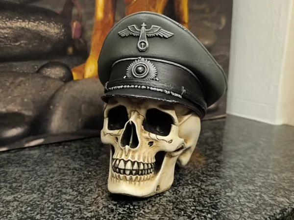 https://makerworld.bblmw.com/makerworld/model/USaf088193a5758a/design/d529052766113a26.jpg
