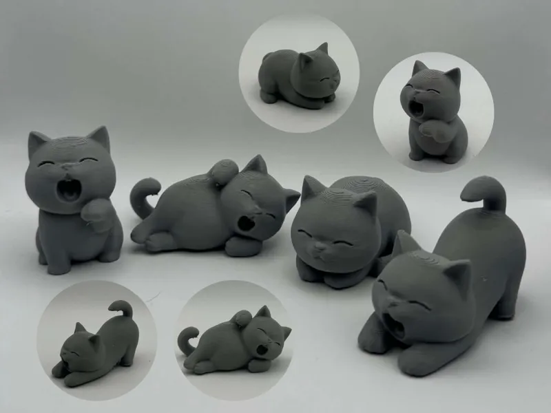 Sleepy Paws: Four Cute Cats