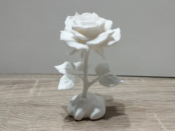 https://makerworld.bblmw.com/makerworld/model/USaf0c547bee1955/design/2025-02-05_e05c6edff871e.jpg