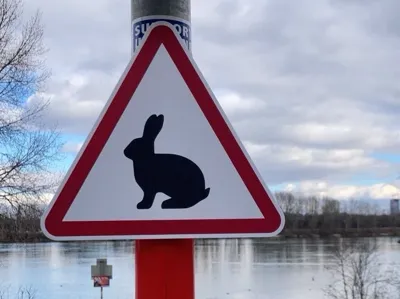 Attention Bunny Sign