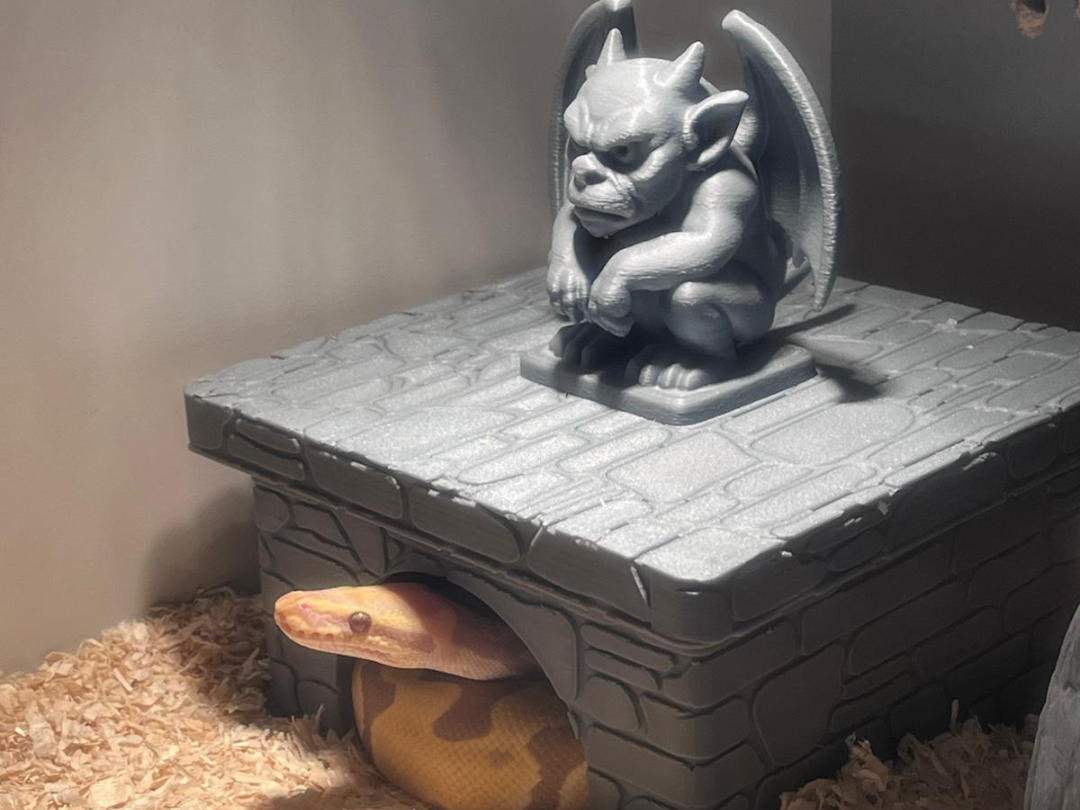 tana gargoyle