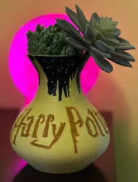 Vase lithophanie Harry Potter — photo 2