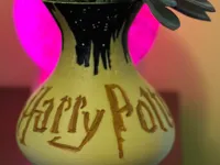 Vase lithophanie Harry Potter — photo 1
