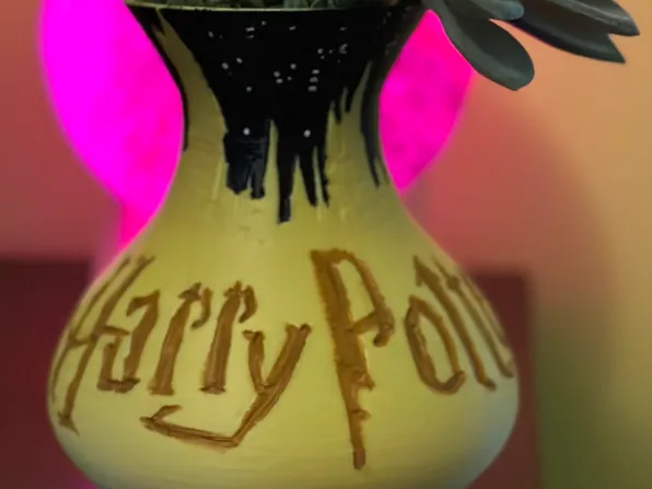 Vase lithophanie Harry Potter