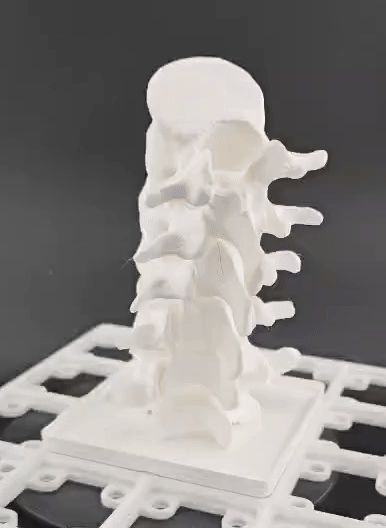 https://makerworld.bblmw.com/makerworld/model/USaf1a8cdc031396/design/2025-10-09_88398678df9d18.gif