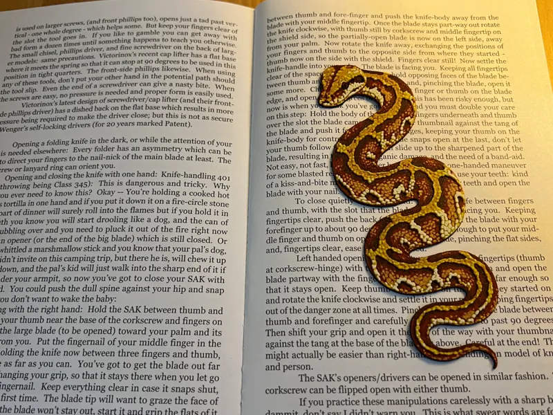 Blood Python Bookmark