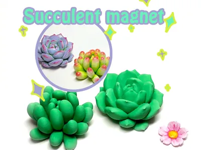 Succulent fridge magnets
