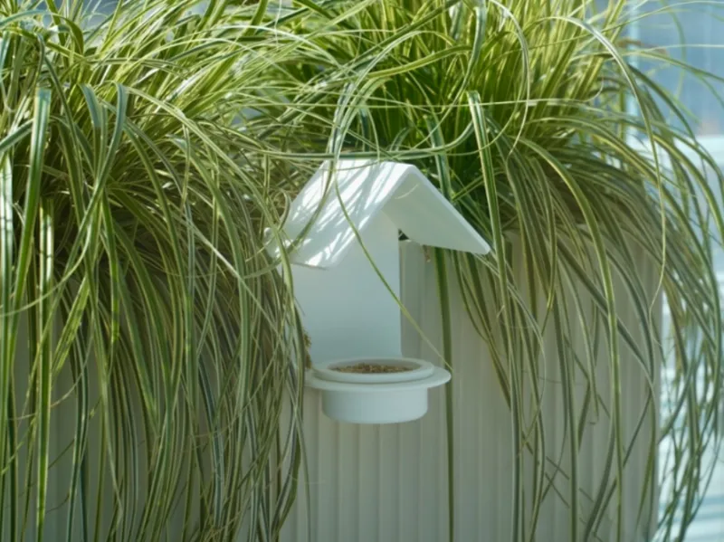 Modern bird feeder