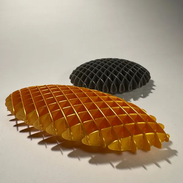 https://makerworld.bblmw.com/makerworld/model/USaf2f5e33f590f7/design/2024-01-30_984dc556128a1.jpg