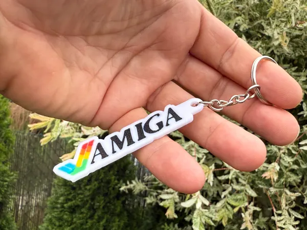 https://makerworld.bblmw.com/makerworld/model/USaf3362dcf480f1/design/2025-07-12_7d1d973e10b9e.jpeg