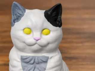 Sitting Cat