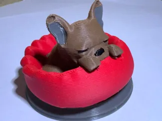 Cute French Bulldog Asleep