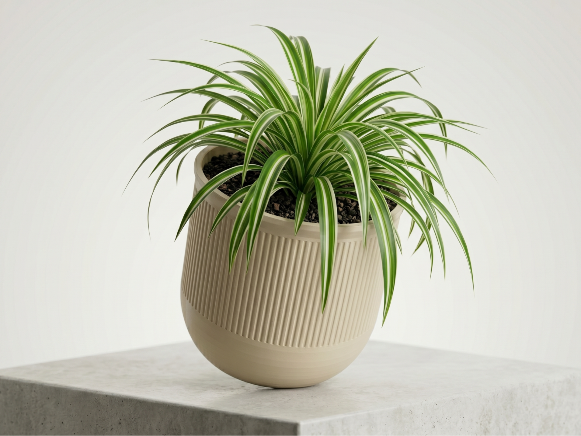 Fluted Planter "Florena" – Plant Pot