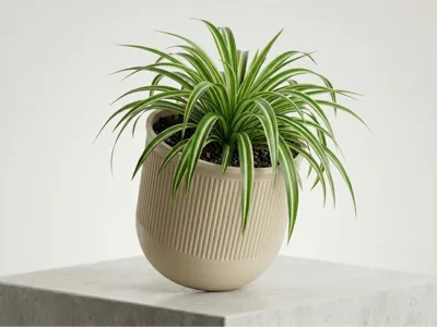 Fluted Planter "Florena" – Plant Pot