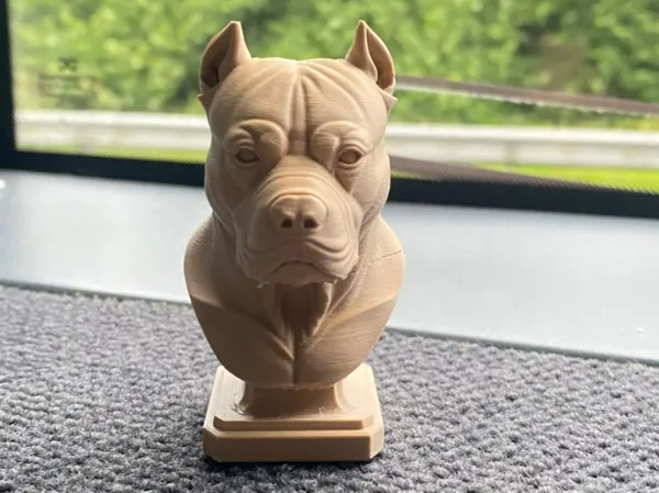 https://makerworld.bblmw.com/makerworld/model/USaf43044b368147/design/2025-07-01_30bcd37e8d2f58.jpeg