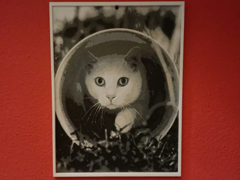 White cat in the tube (Hueforge)