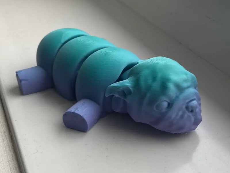 Dog fidget