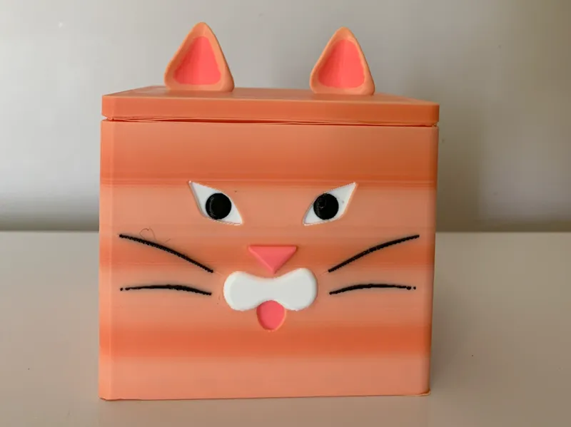 Cat Face Box