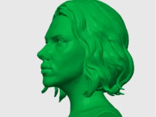 vedova nera bust