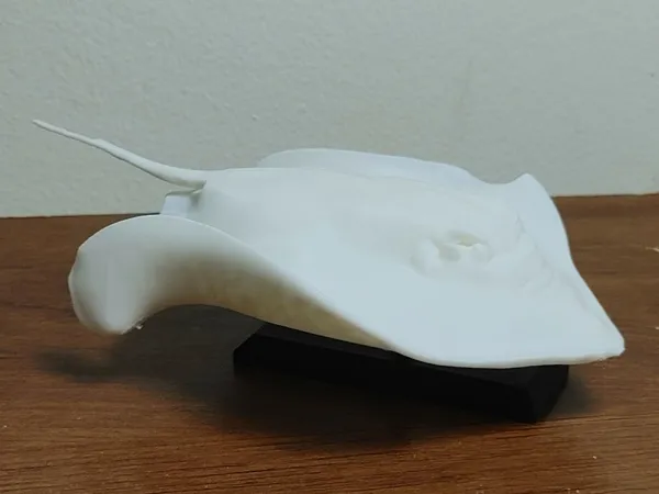 https://makerworld.bblmw.com/makerworld/model/USaf593b31f6904a/design/2025-06-01_dc11e2cc994738.jpg