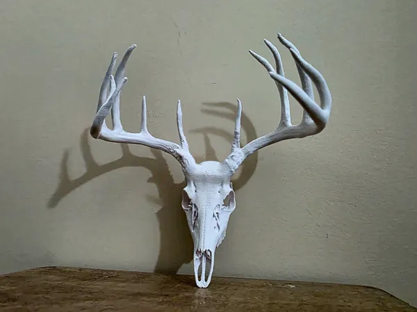 https://makerworld.bblmw.com/makerworld/model/USaf59d268bb2a5e/design/2025-10-12_1faa40c44ed028.jpg