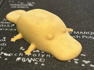 Chubby Platypus - Cute - Adaptive Layer Height