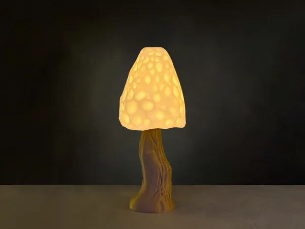https://makerworld.bblmw.com/makerworld/model/USaf60eed20c64e2/design/2025-03-19_2904a866d629e.jpeg