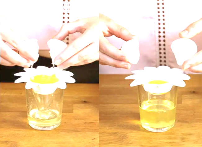 Miniatura 2 do modelo 3D 蛋清蛋黄分离器