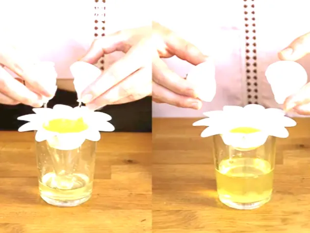 蛋清蛋黄分离器