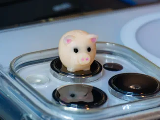 Pocket Pig